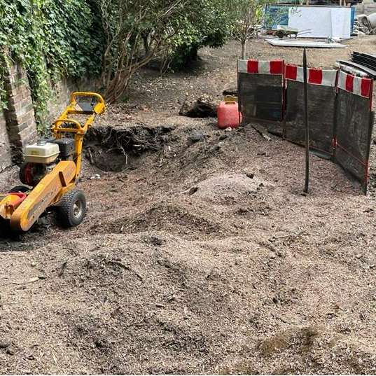 Commercial site clearance and vegetation management