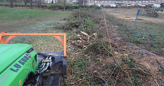 Site Clearance