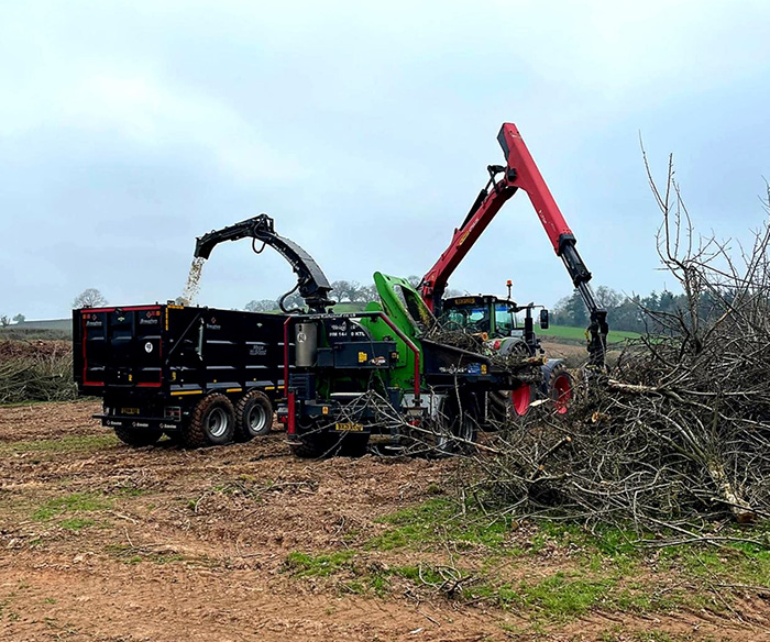 Site Clearance