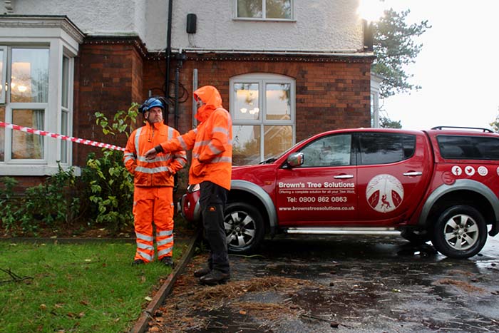 two men discussing a tree survey