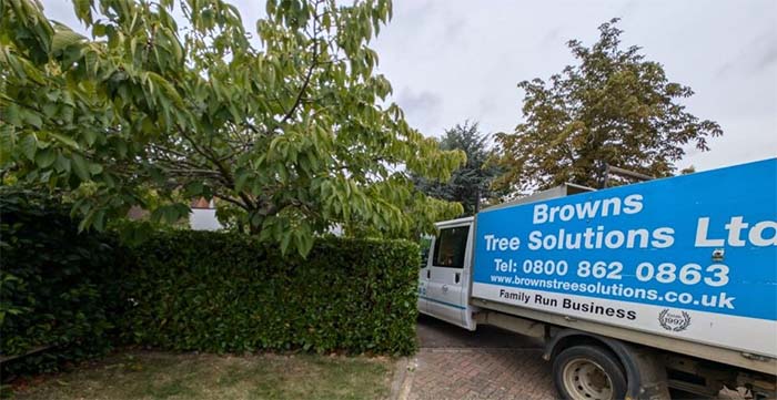 Browns Lorry in a driveway next to trees needing a survey