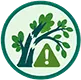 Emergency Tree Work