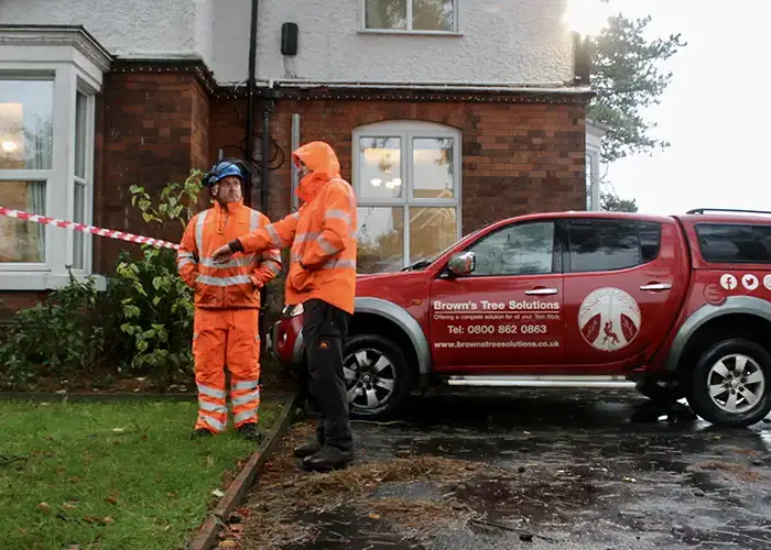 Browns Tree Solutions carrying out a commercial tree survey