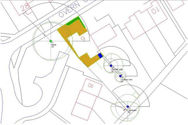 Tree Surveys & Reports